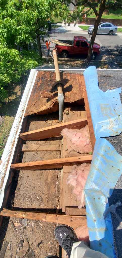 Roof Repair — before the work