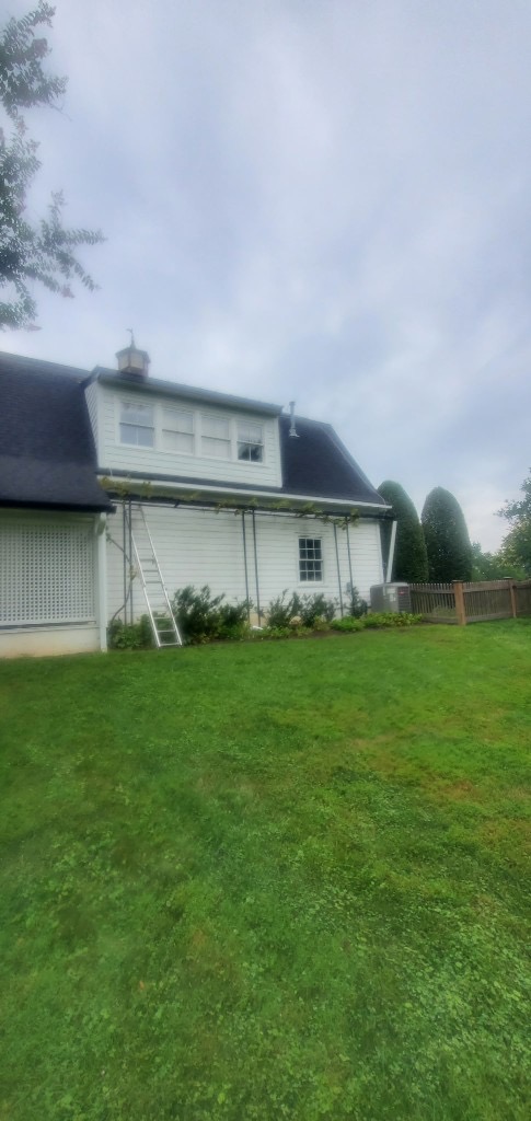Siding Repair — before the work
